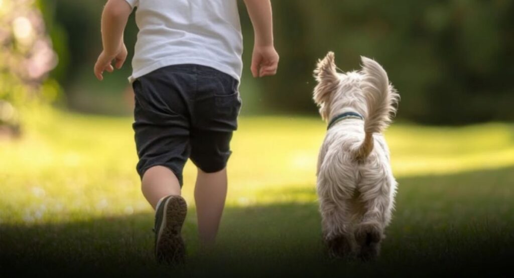 Estudos revelam que os cães pensam e aprendem como crianças pequenas