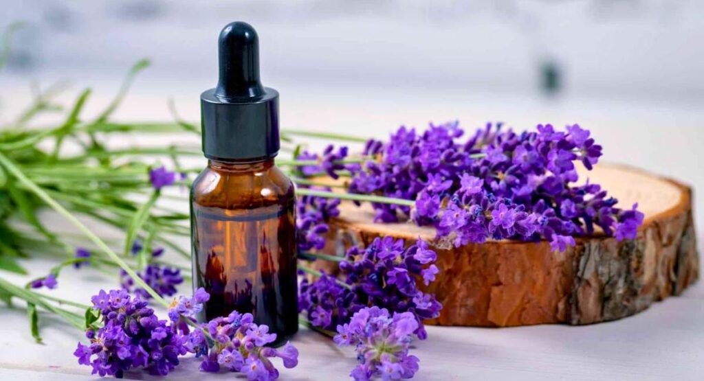 Frasco de óleo essencial de lavanda ao lado de flores frescas, dispostas sobre um corte de madeira, em ambiente natural e relaxante. Florais de Bach ansiedade