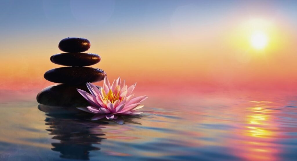 Pétalas de lótus rosa flutuando ao lado de pedras empilhadas sobre a água, com pôr do sol ao fundo simbolizando paz equilíbrio e bem estar Meditação diária